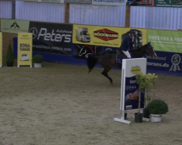 Reitturnier Isterberg 2019