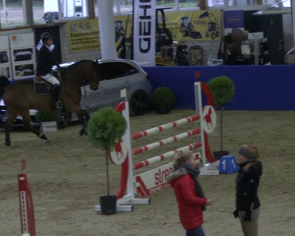 Reitturnier Isterberg 2019