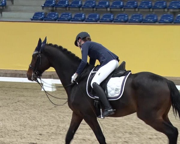 Reitturnier Prussendorf 2019