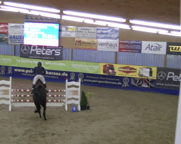 Reitturnier Isterberg 2019