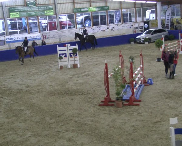 Reitturnier Isterberg 2019
