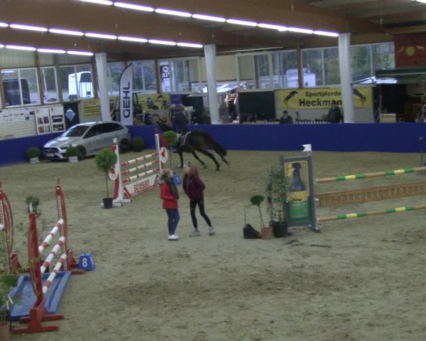 Reitturnier Isterberg 2019