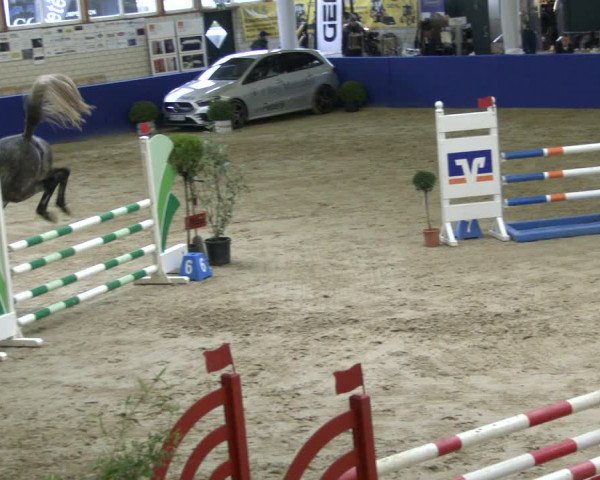 Reitturnier Isterberg 2019