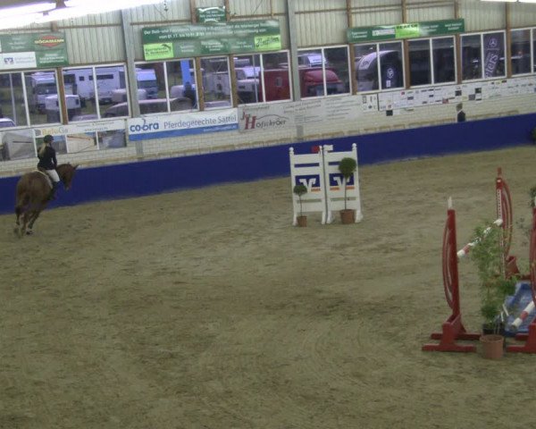 Reitturnier Isterberg 2019