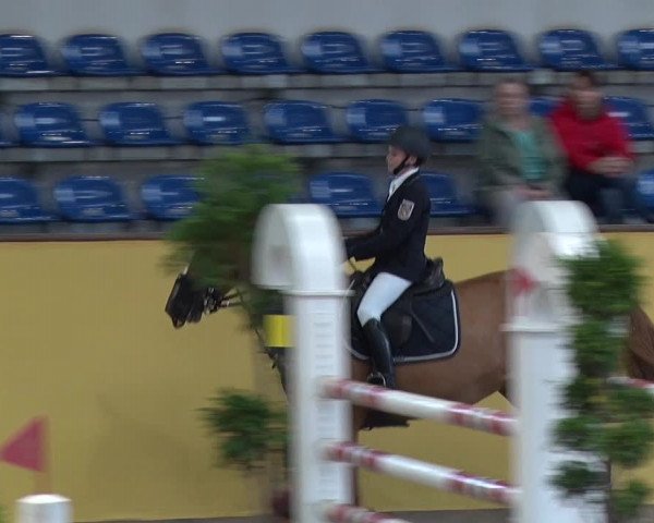 Reitturnier Prussendorf 2019