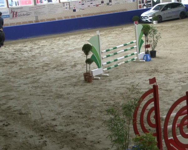 Reitturnier Isterberg 2019
