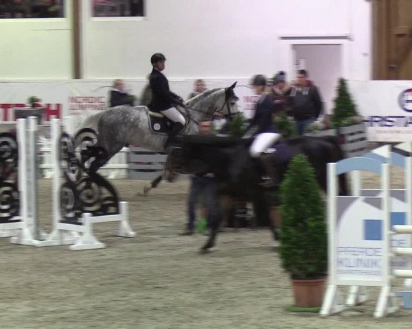 Nordic Jumping events 2019