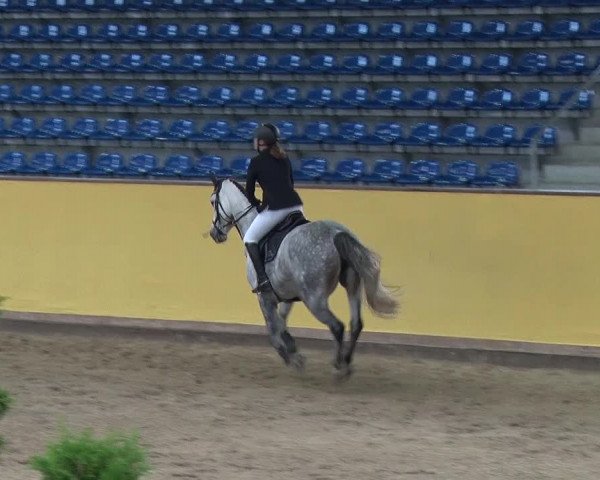 Reitturnier Prussendorf 2019