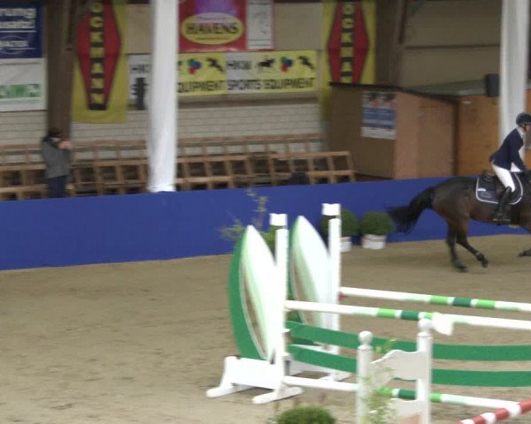 Reitturnier Isterberg 2019