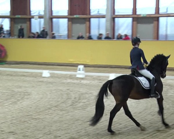 Reitturnier Prussendorf 2019