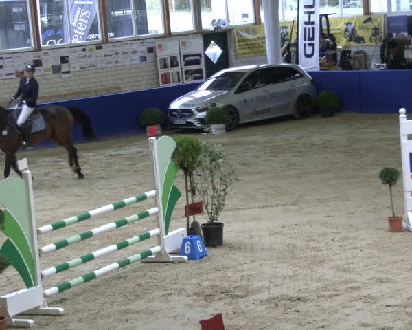 Reitturnier Isterberg 2019