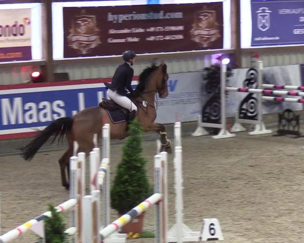 Nordic Jumping events 2019
