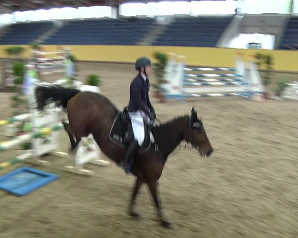 Reitturnier Prussendorf 2019