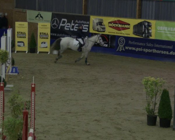 Reitturnier Isterberg 2019