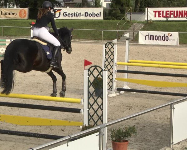 Reitturnier Durmersheim-Hardt 2021