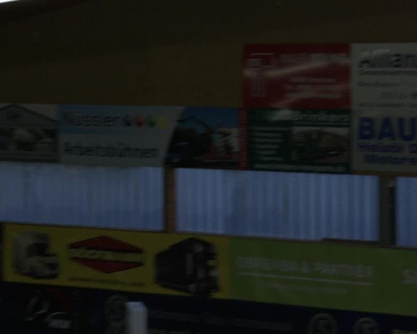Reitturnier Isterberg 2019