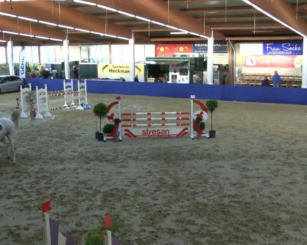 Reitturnier Isterberg 2019