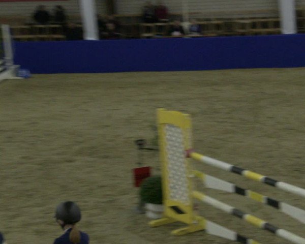 Reitturnier Isterberg 2019