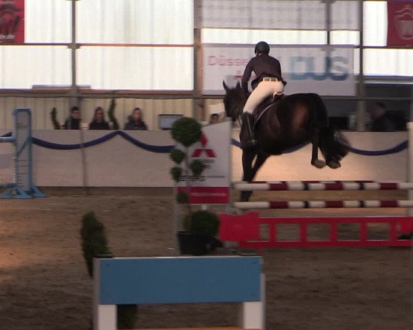 Reitturnier Rhede-Krommert 2019