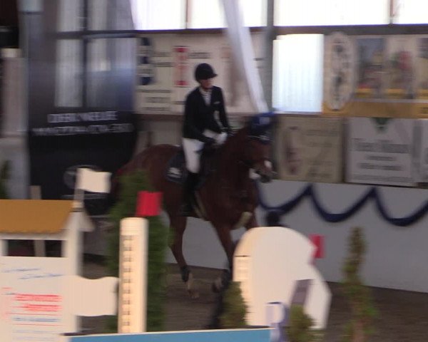 Reitturnier Rhede-Krommert 2019