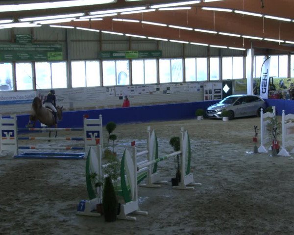 Reitturnier Isterberg 2019