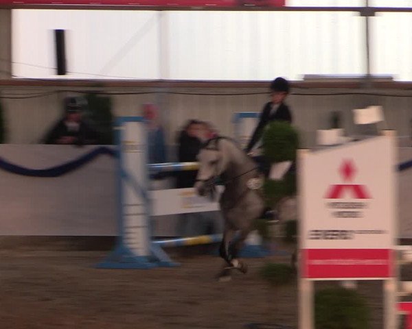 Reitturnier Rhede-Krommert 2019