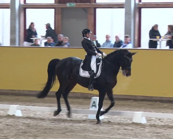 Reitturnier Prussendorf 2019