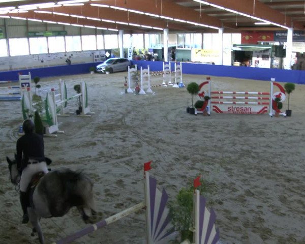 Reitturnier Isterberg 2019