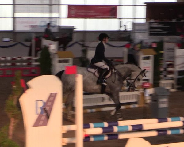 Reitturnier Rhede-Krommert 2019