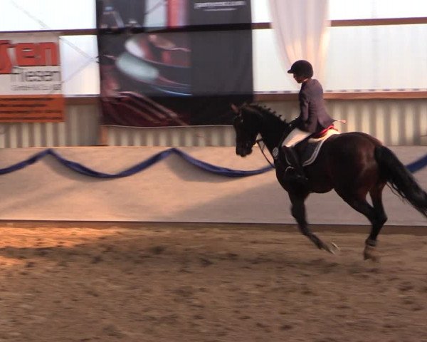 Reitturnier Rhede-Krommert 2019