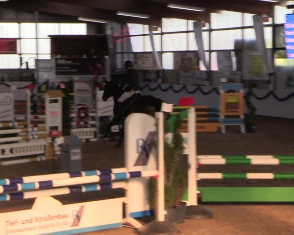 Reitturnier Rhede-Krommert 2019