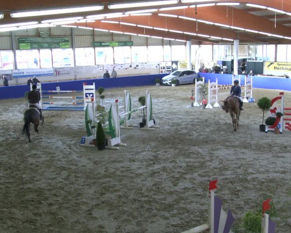 Reitturnier Isterberg 2019