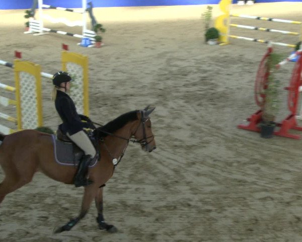 Reitturnier Isterberg 2019