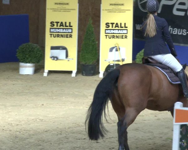 Reitturnier Isterberg 2019