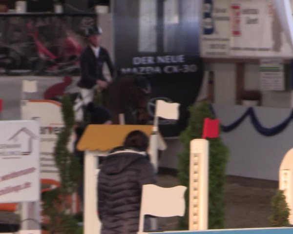 Reitturnier Rhede-Krommert 2019