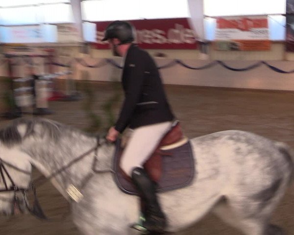 Reitturnier Rhede-Krommert 2019