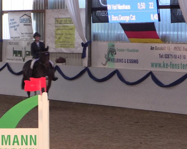 Reitturnier Rhede-Krommert 2019