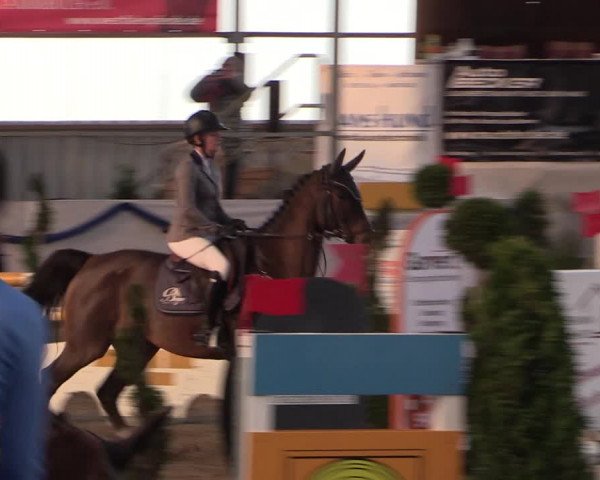 Reitturnier Rhede-Krommert 2019