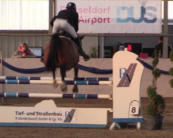 Reitturnier Rhede-Krommert 2019