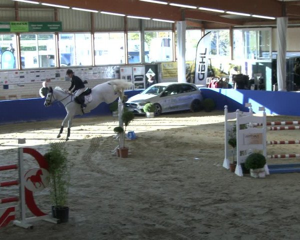 Reitturnier Isterberg 2019