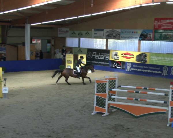 Reitturnier Isterberg 2019