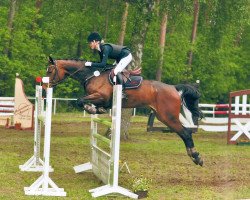 Springpferd Camina 19 (Hannoveraner, 2006, von Cranach)