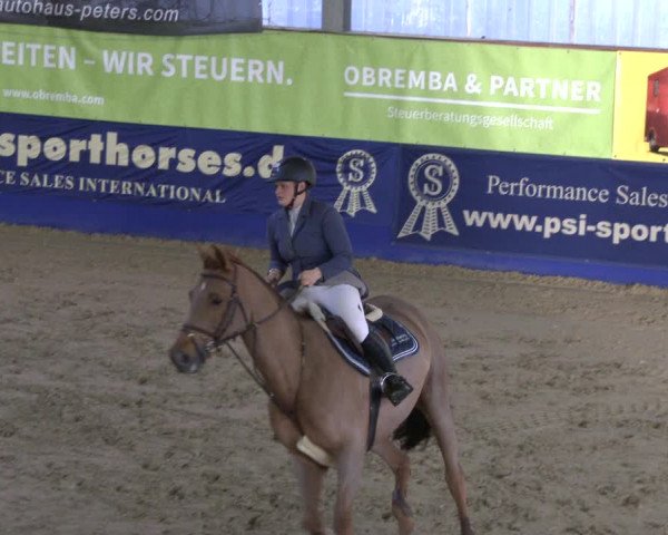 Reitturnier Isterberg 2019