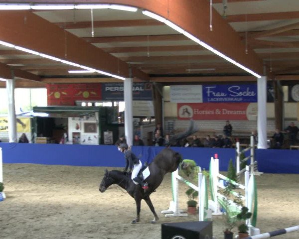 Reitturnier Isterberg 2019