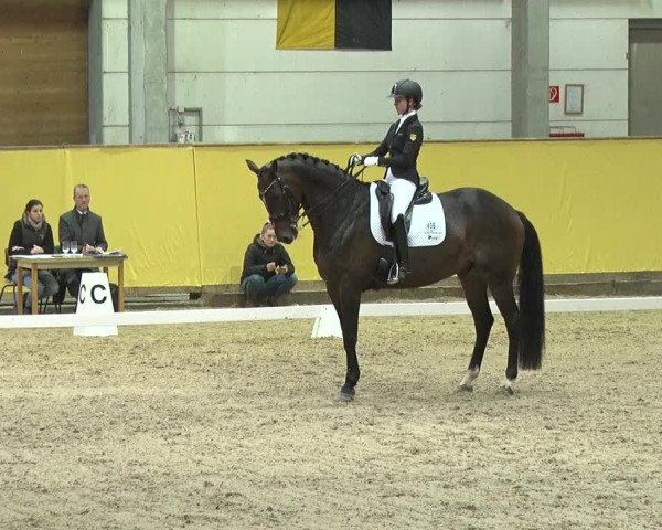 Reitturnier Prussendorf 2019