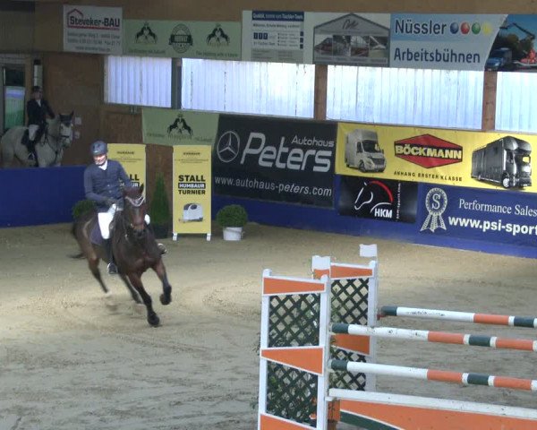 Reitturnier Isterberg 2019
