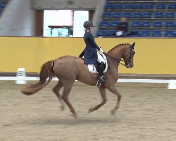 Reitturnier Prussendorf 2019