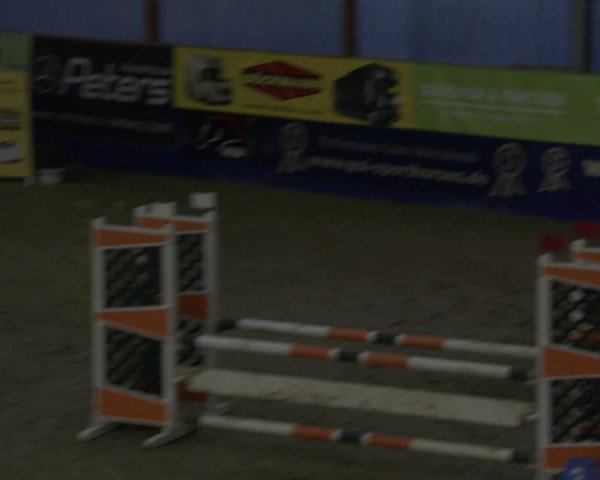 Reitturnier Isterberg 2019