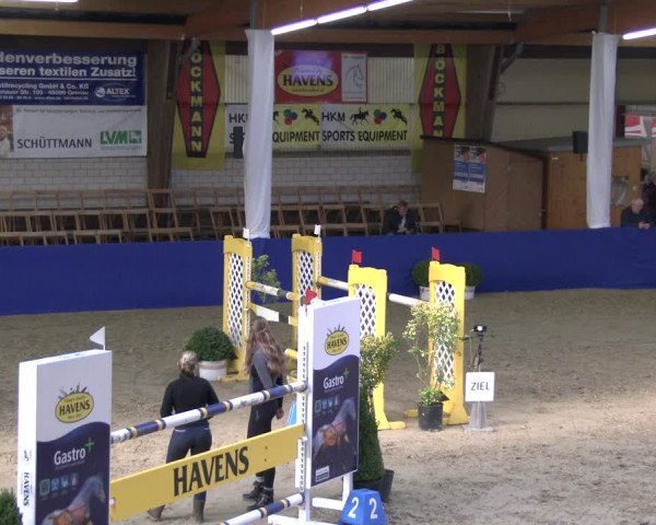 Reitturnier Isterberg 2019