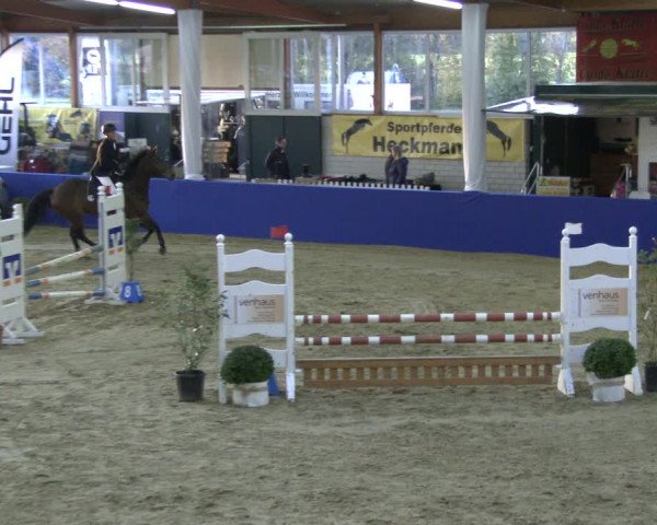 Reitturnier Isterberg 2019